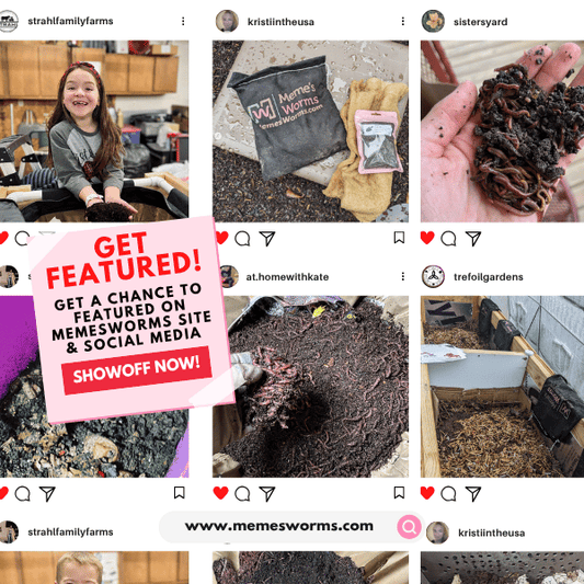 Natural earthworm castings soil by Meme's Worms, showing rich, dark composted soil perfect for organic gardening.