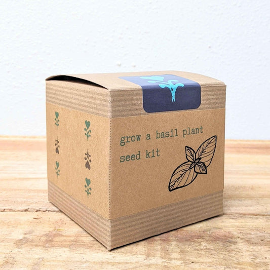 Grow a basil plant with the Plantflix herb seed kit, featuring basil seeds and planting instructions in a compact kit.