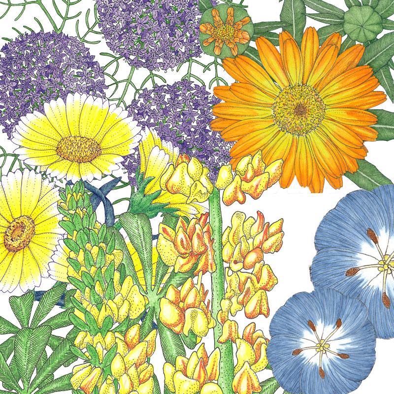 Grow Organic Peaceful Valley Flowering Pollinator Mix seed packet with colorful flower seeds for pollinators.