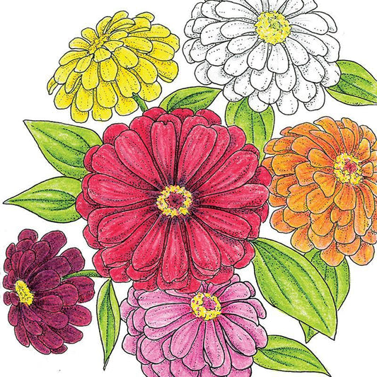 Organic California Giants Zinnia seeds from Grow Organic, showcasing vibrant flower seed packets for garden planting.