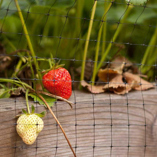 Grow Organic bird netting, 14x14 feet, pest control netting for protecting gardens from birds and pests.