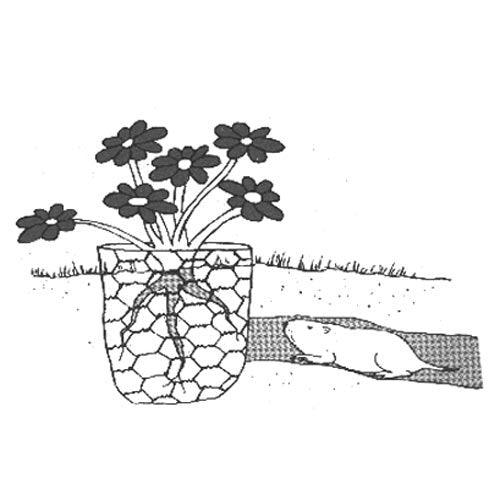 Grow Organic gopher wire roll, 3 feet by 100 feet, pest control mesh for blocking gophers in gardens.