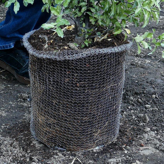 Grow Organic Root Guard Speed Basket pest control product, 1-gallon size, showing four baskets for plant root protection.
