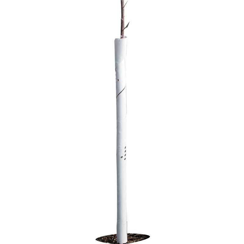 Set of five Grow Organic 24-inch spiral tree guards for pest control, protecting young trees from pests and animal damage.