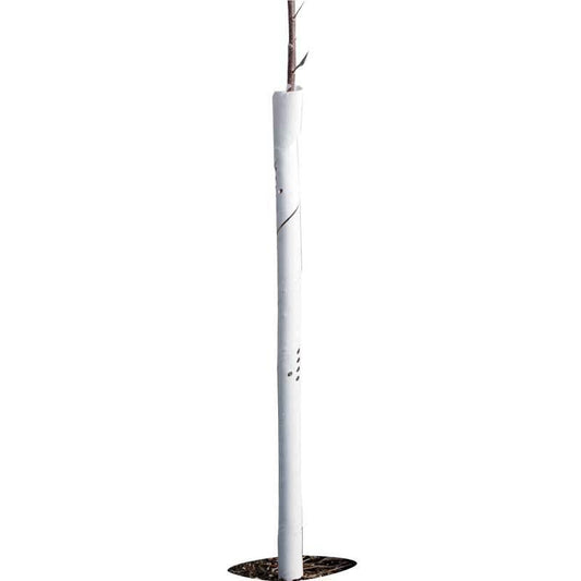 Set of five 36-inch spiral tree guards by Grow Organic for pest protection around young trees.