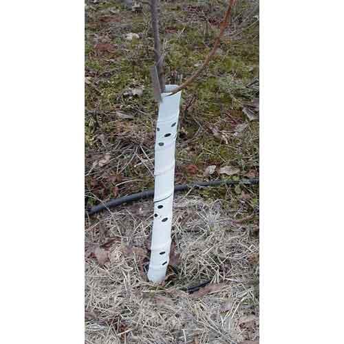 Pack of five 36-inch spiral tree guards by Grow Organic, designed for pest control and tree protection.