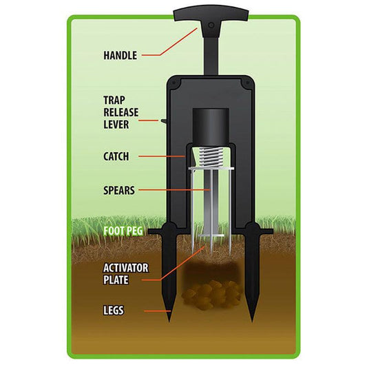 Victor Deadset Mole Trap from Grow Organic for effective pest control, shown in a natural outdoor setting.