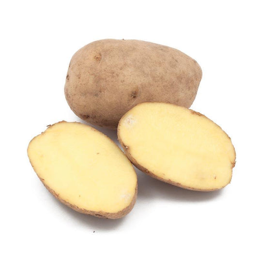 Organic German Butterball seed potato from Grow Organic, fresh whole potatoes ideal for planting or cooking.