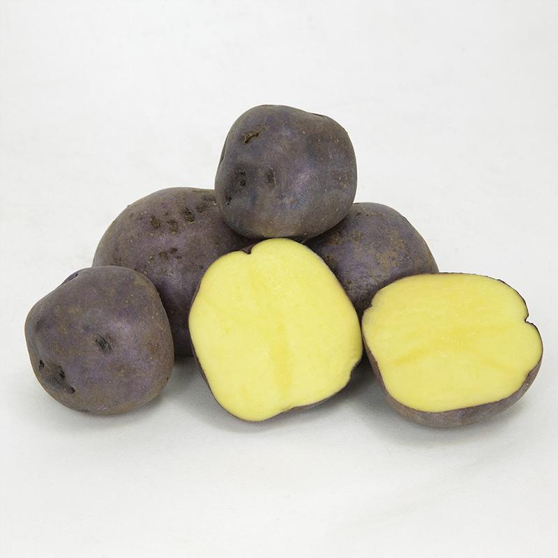 Organic Huckleberry Gold Seed Potato from Grow Organic, fresh yellow-skinned potato with smooth surface and vibrant color.