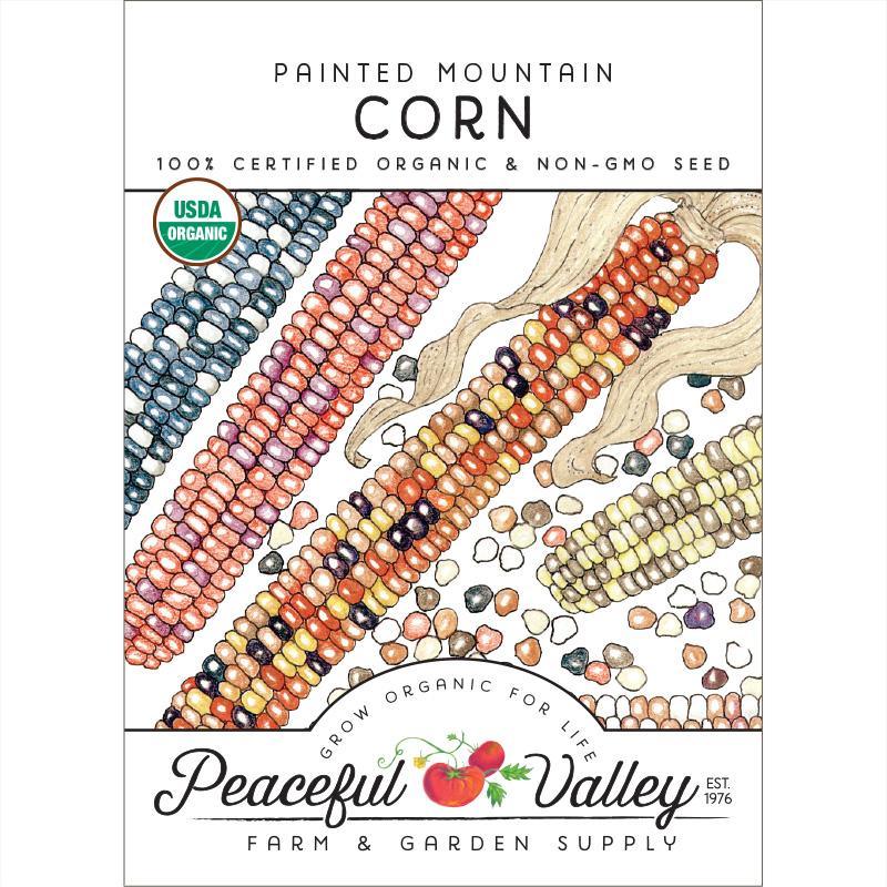 Organic Painted Mountain Corn Seeds from Grow Organic, vibrant vegetable seeds with colorful kernels for planting.