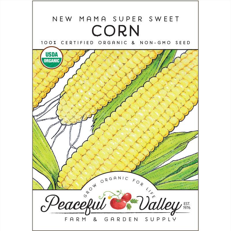 Organic Sweet New Mama Corn seeds from Grow Organic, fresh vegetable seeds ideal for planting in vegetable gardens.