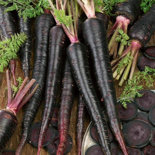 Organic Black Nebula Carrot Seeds by Grow Organic, packaged vegetable seeds for growing vibrant, dark-skinned carrots.