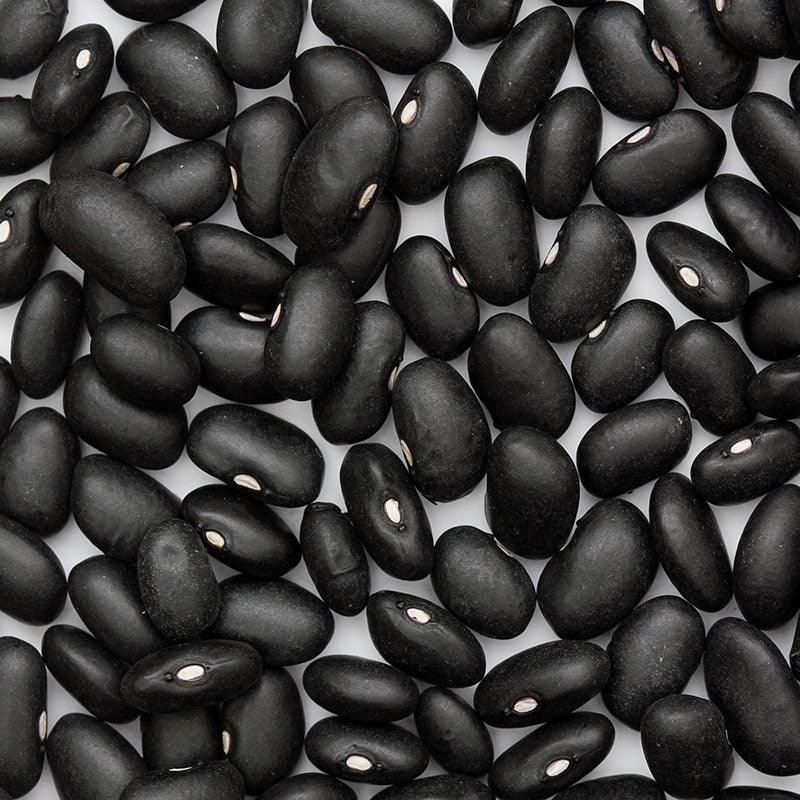 Organic Black Turtle Bush Bean Seeds from Grow Organic, vegetable seeds pack with black beans in a clear seed packet.