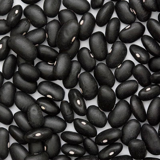 Organic Black Turtle Bush Bean Seeds from Grow Organic, vegetable seeds pack with black beans in a clear seed packet.