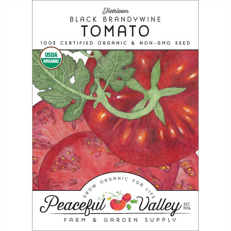Brandywine Black Tomato Seeds (Organic) - Blessings Grow Meadows