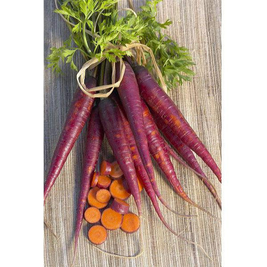 Organic Cosmic Purple Carrot Seeds from Grow Organic, vegetable seed pack showing vibrant purple carrot illustrations.