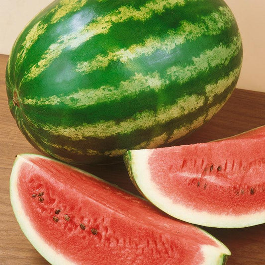 Organic Crimson Sweet Watermelon Seeds by Grow Organic, packaged vegetable seeds for growing sweet, juicy watermelons.