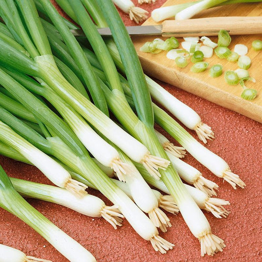 Organic Grow Organic Evergreen Bunching Onion Seeds in a vegetable seed packet, ideal for home gardening and fresh onion cultivation.