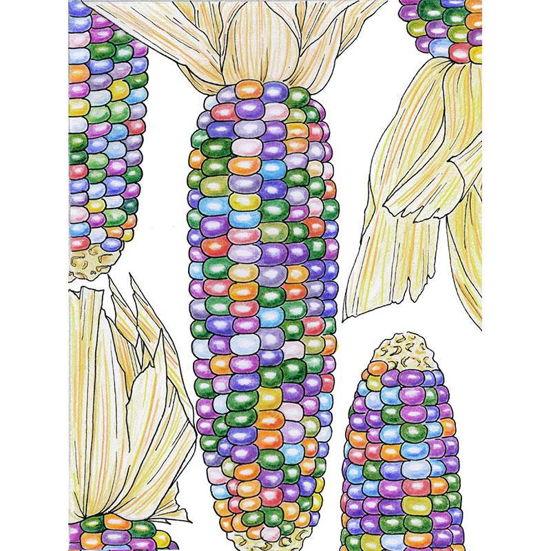 Organic Glass Gem Corn seeds from Grow Organic, vibrant multicolored corn kernels on the seed packet, vegetable seed product.