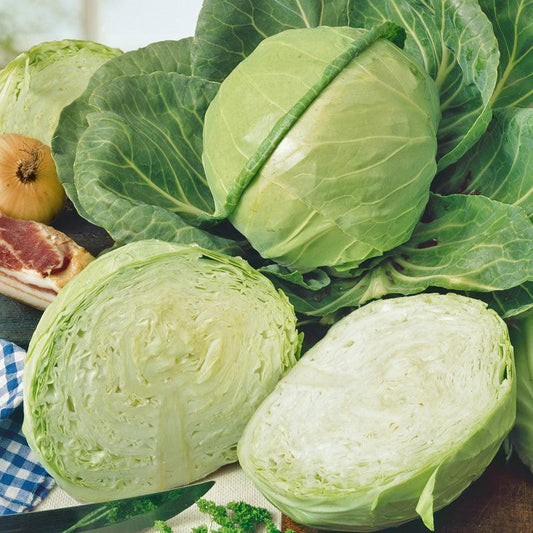 Organic Golden Acre Cabbage Seeds from Grow Organic in a packet, ideal for vegetable gardening and fresh cabbage production.