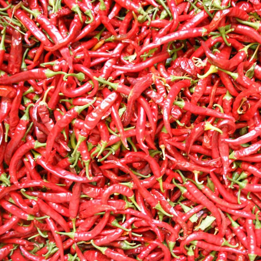 Organic Hot Cayenne Slim Pepper Seeds from Grow Organic, vegetable seeds pack with vibrant seed images for planting.