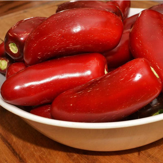 Organic Hot Jalapeno Early Pepper Seeds from Grow Organic, vegetable seeds for spicy hot pepper plants.