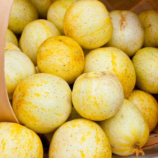 Organic Lemon Cucumber seeds in a Grow Organic packet, showcasing fresh cucumber and lemon images on the vegetable seed packaging.
