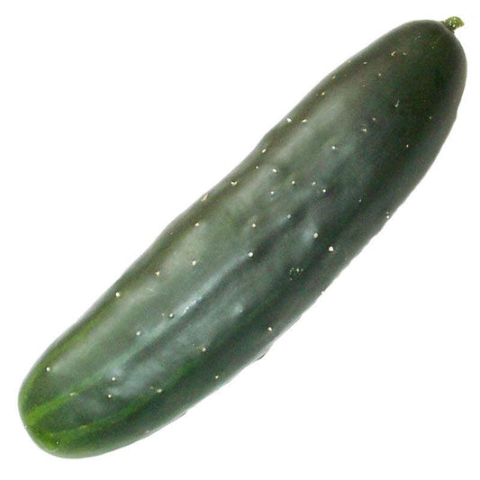 Organic Marketmore 76 cucumber seeds from Grow Organic, vegetable seeds pack with healthy, fresh cucumber seedlings.