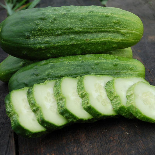Pack of Grow Organic National Pickling Cucumber Seeds, organic vegetable seeds for home gardening and pickling.