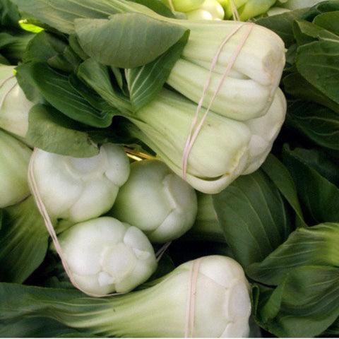 Organic Pak Choi Baby Shanghai Greens seeds from Grow Organic, vegetable seed pack with fresh, vibrant green baby Pak Choi leaves.