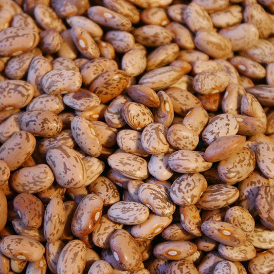 Organic Pinto Bean Seeds from Grow Organic, vegetable seeds pack showing fresh seed grains for planting.
