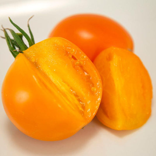 Organic Valencia Tomato Seeds pack from Grow Organic showing vibrant seed packet for vegetable gardening.