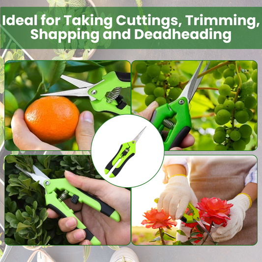 Hormex Cloning Shears - Precision straight-blade shears designed for clean, accurate cuts, ideal for plant cuttings - Blessings Grow Meadows