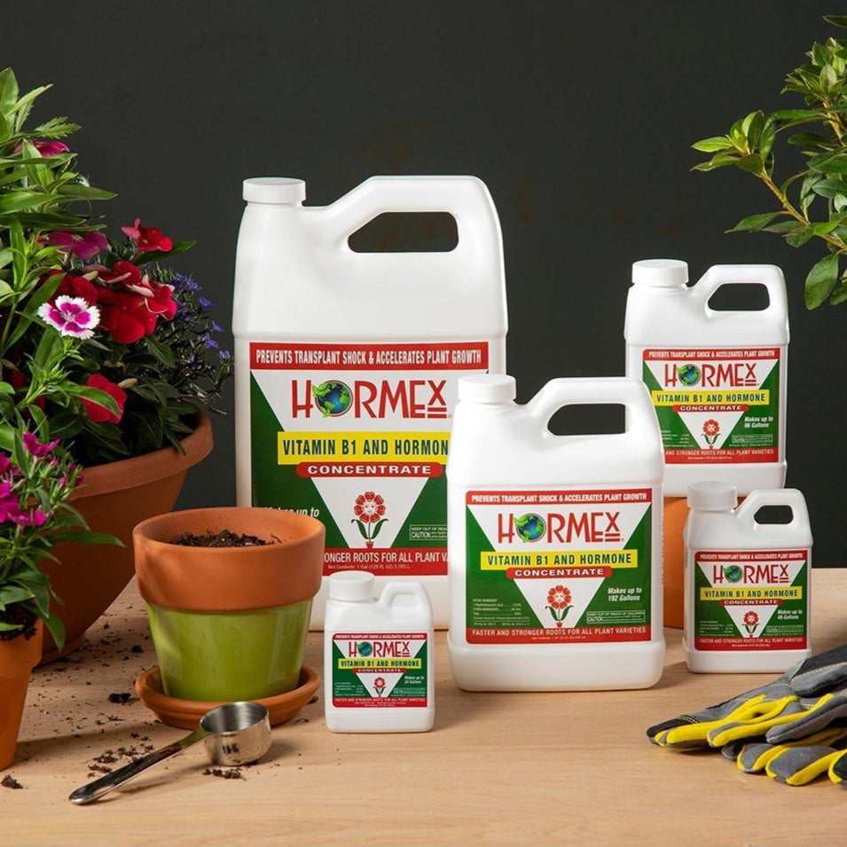 HORMEX Rooting Hormone Concentrate with B1 for plant root growth, ideal for hydroponics, houseplants, gardens, trees, fruits, and veggies.