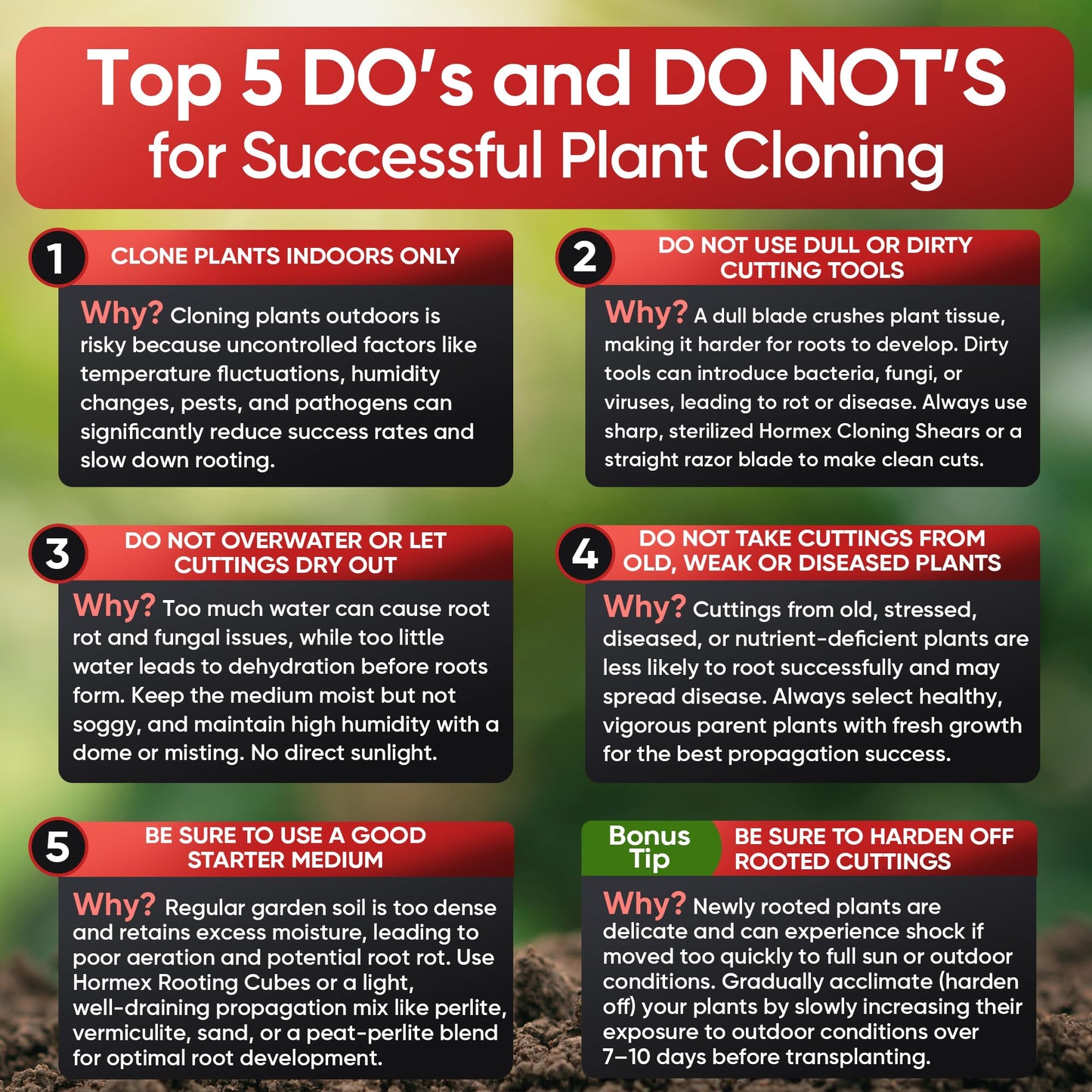 Hormex Rooting Cubes - Grow Plants from Cuttings or Start from Seed - Peat Moss & Coco Plugs - For Strong Roots & Healthy Plants - Ideal for Home & Professional Growers - Blessings Grow Meadows