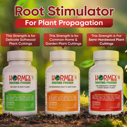 Hormex Rooting Powder Pack #1, 3, 8 for houseplants, medicinal plants, and tree cuttings, showing powder and packaging.