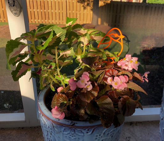 Bird Yard Sign, Handmade Garden and Yard Art - Blessings Grow Meadows