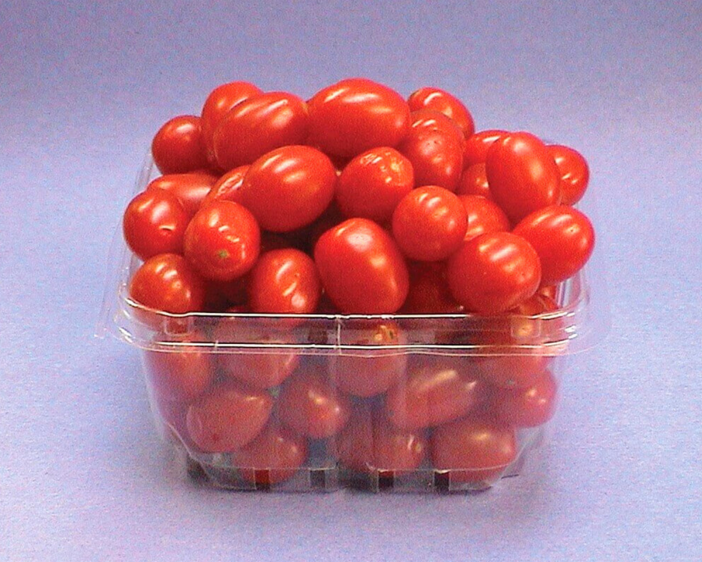 Jelly Bean Red Hybrid Tomato Seeds - Blessings Grow Meadows