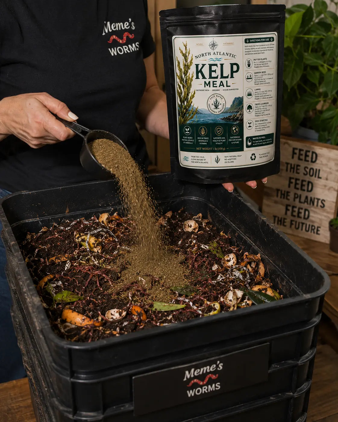 North Atlantic Kelp Meal for Sale - Organic Seaweed Fertilizer for Soil (SC)