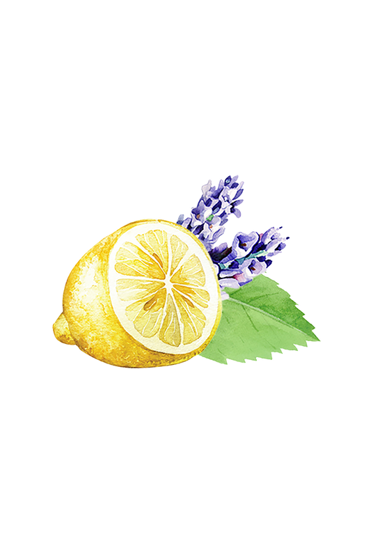 A watercolor of a halved lemon, purple lavender sprigs, and green leaves captures the fresh essence of Rustic Strength Lots of Purpose Spray Cleaner—Lavender, Lemon & Mint.