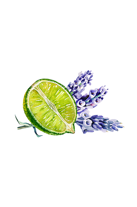 A vibrant watercolor of a halved lime and lavender sprigs on a black background captures the refreshing essence of Rustic Strength’s Epsom Salt Soak | Lavender & Lime.
