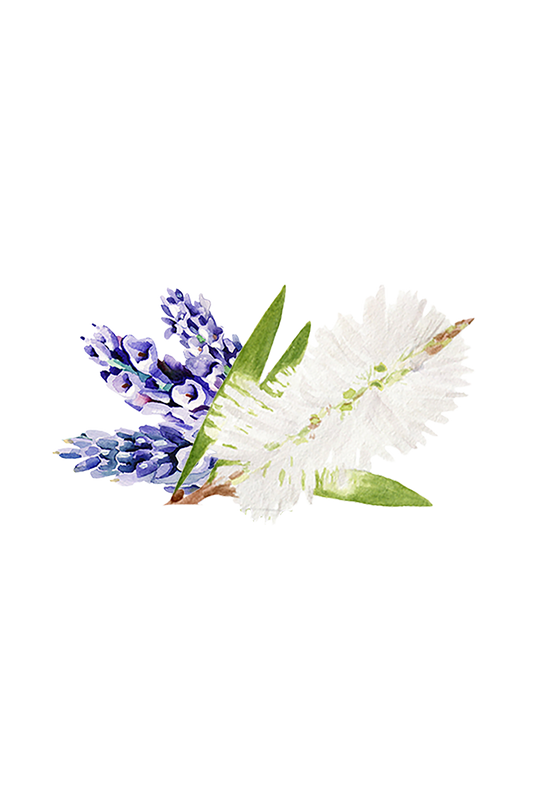 Moisturizing Body Wash | Lavender & Tea Tree - Blessings Grow Meadows