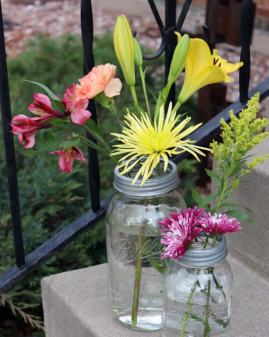 Galvanized metal flower organizer frog lid for mason jars, compatible with regular-mouth Mason Jar Lifestyle jars, with a chicken-wire design.