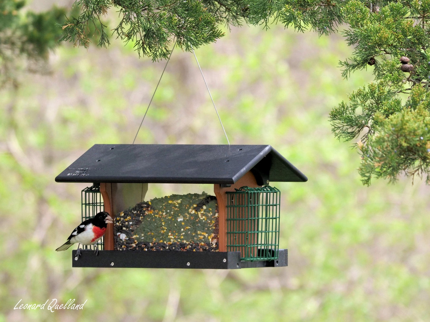 Amish-made deluxe bird feeder with suet holder, crafted from durable poly lumber, designed for outdoor bird watching.