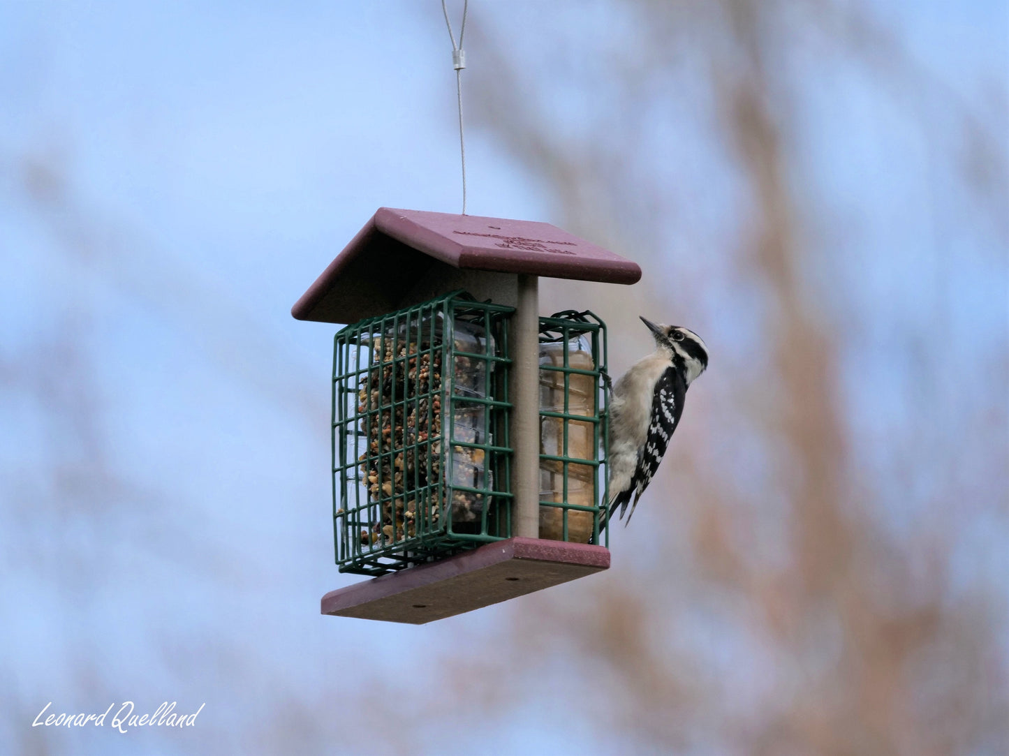 Double Suet-Cake Bird Feeder, Made With Poly Lumber, Amish-Made - AmishToyBox.com ~ Blessings Grow Meadows
