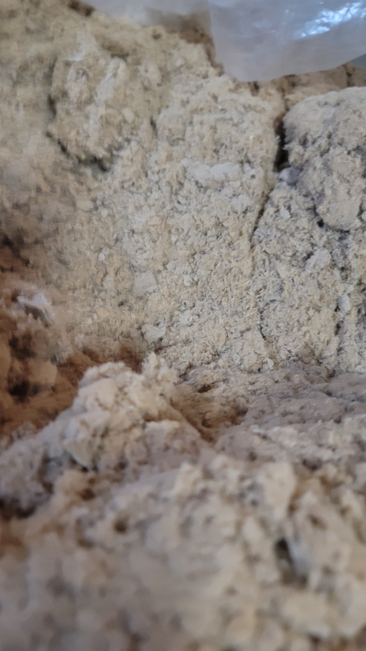 EcoFluff bedding by Meme's Worms in a gallon container, soft and natural bedding material for worm habitats.