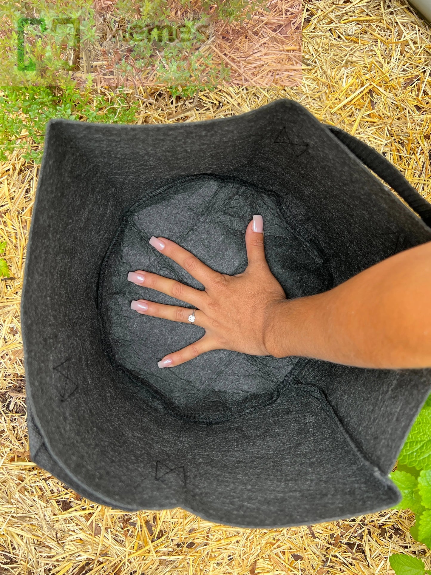 Meme's Worms Ready-to-Go Ecosystem with Esienia fiteda composting worms in a 3-gallon worm bag for organic composting.