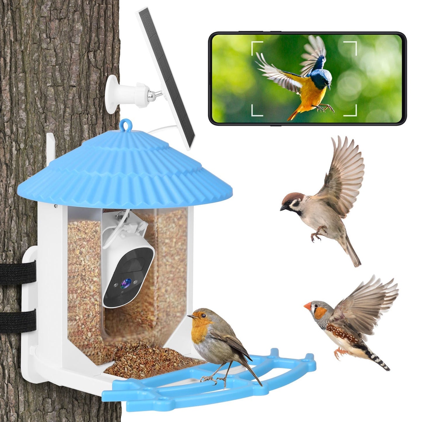 Mercantile Mountain Solar Powered Birdfy Feeder with 2K bird watching camera and smart features for bird observation.