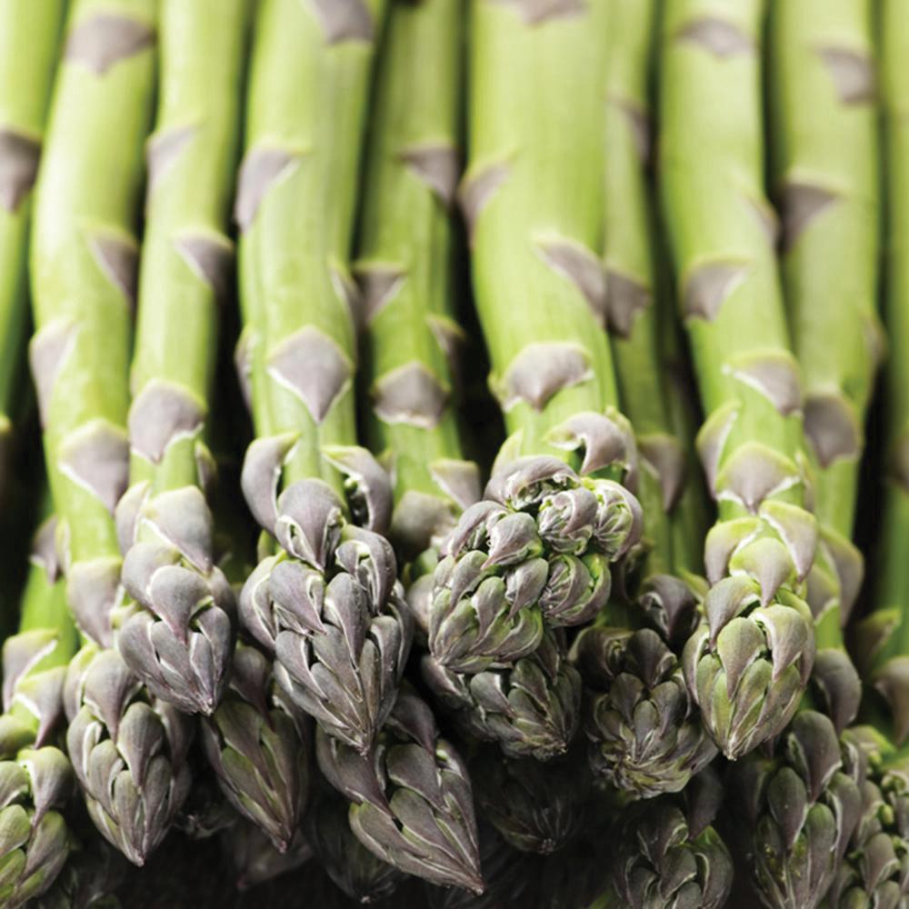 Fresh green asparagus spears from MIgardener's Mary Washington seed packet, ideal for planting and growing.