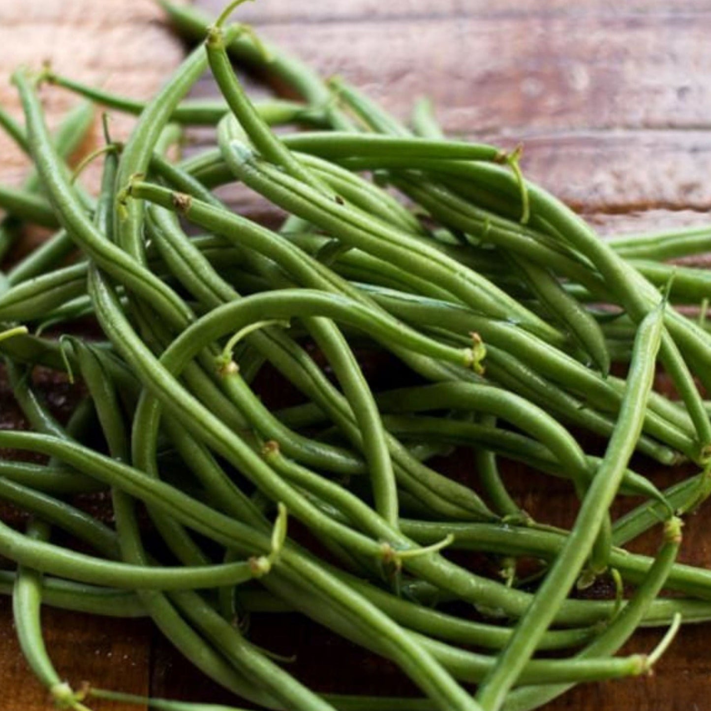 Maxibel Haricot Bean bush plant by MIgardener with green beans growing on the vine.